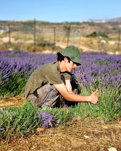 10110df3-d076-4da2-a6e7-dda6591eefef_20240901_213039_0000